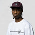 files/SCA-CAP-0487_2.jpg